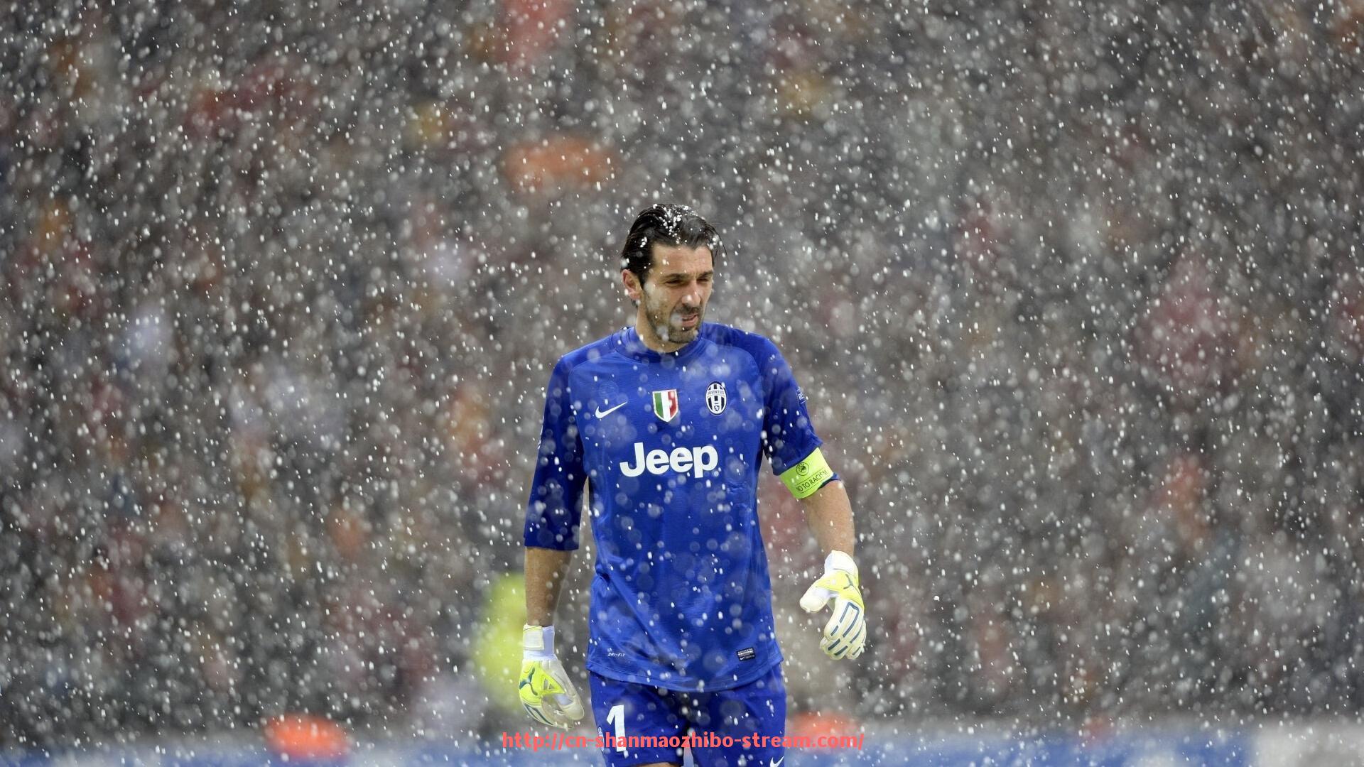 山猫直播官网-天猫商城健身器材：天猫健身器材购物指南与推荐